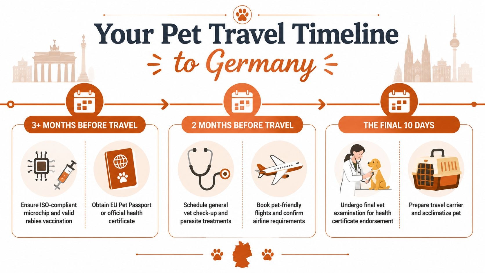 A visual timeline infographic outlining steps for transporting a pet to Germany over three months.